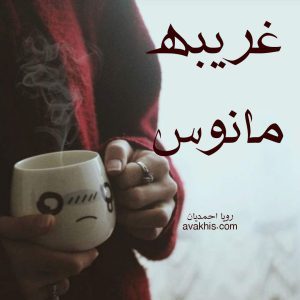 رمان غریبه مانوس 