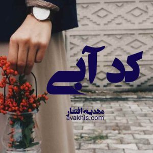 رمان کد آبی 